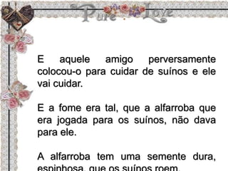 E aquele amigo perversamente
colocou-o para cuidar de suínos e ele
vai cuidar.
E a fome era tal, que a alfarroba que
era jogada para os suínos, não dava
para ele.
A alfarroba tem uma semente dura,
 