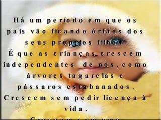 Há um período em que os pais vão ficando órfãos dos seus próprios filhos. É que as crianças crescem independentes  de nós, como árvores tagarelas e pássaros estabanados. Crescem sem pedir licença à vida. Crescem com uma estridência alegre, e, às vezes, com alardeada arrogância. Mas não crescem todos os dias de igual maneira. Crescem de repente. 