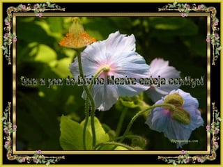 Que a paz do Divino Mestre esteja contigo! 