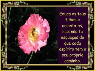 Educa os teus filhos e orienta-os, mas não te esqueças de que cada espírito tem o seu próprio caminho. 