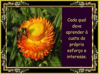 Cada qual deve aprender à custa do próprio esforço e interesse. 