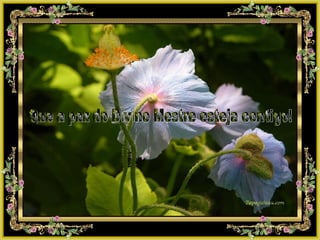 Que a paz do Divino Mestre esteja contigo! 