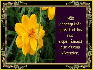 Não conseguirás substituí-los nas experiências que devam vivenciar. 