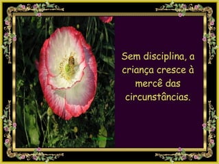 Sem disciplina, a criança cresce à mercê das circunstâncias. 