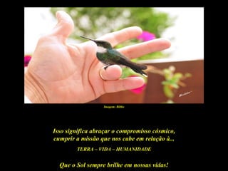 Imagem: Bibbo




Isso significa abraçar o compromisso cósmico,
cumprir a missão que nos cabe em relação à...
        TERRA – VIDA – HUMANIDADE


  Que o Sol sempre brilhe em nossas vidas!
 