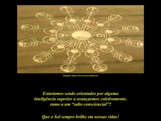 Imagem: http://www.oneness4all.com




     Estaríamos sendo orientados por alguma
inteligência superior a avançarmos coletivamente,
         rumo a um “salto consciencial”?

    Que o Sol sempre brilhe em nossas vidas!
 