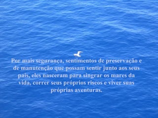 Por mais segurança, sentimentos de preservação e de manutenção que possam sentir junto aos seus pais, eles nasceram para singrar os mares da vida, correr seus próprios riscos e viver suas próprias aventuras. 