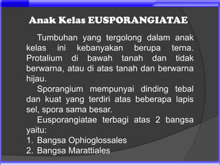 Anak Kelas EUSPORANGIATAE
   Tumbuhan yang tergolong dalam anak
kelas ini kebanyakan berupa terna.
Protalium di bawah tanah dan tidak
berwarna, atau di atas tanah dan berwarna
hijau.
   Sporangium mempunyai dinding tebal
dan kuat yang terdiri atas beberapa lapis
sel, spora sama besar.
   Eusporangiatae terbagi atas 2 bangsa
yaitu:
1. Bangsa Ophioglossales
2. Bangsa Marattiales
 