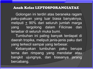 Anak Kelas LEPTOSPORANGIATAE
   Golongan ini terdiri atas beraneka ragam
paku-pakuan yang luar biasa banyaknya,
meliputi + 90% dari seluruh jumlah marga
yang      tergolong dalam Filicinae dan
tersebar di seluruh muka bumi.
   Tumbuhan ini paling banyak terdapat di
daerah tropika, meliputi jenis-jenis paku dari
yang terkecil sampai yang terbesar.
   Kebanyakan tumbuhan paku berupa
terna dan rimpang yang mendatar atau
bangkit ujungnya, dan biasanya jarang
bercabang.
 