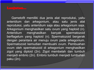 Lanjutan...

   Gametofit memiliki dua jenis alat reproduksi, yaitu
anteridium dan arkegonium, atau satu jenis alat
reproduksi, yaitu anteridium saja atau arkegonium saja.
Arkegonium menghasilkan satu ovum yang haploid (n).
Anteridium    menghasilkan      banyak     spermatozoid
berflagelum yang haploid (n). Spermatozoid bergerak
dengan perantara air menuju ovum pada arkegonium.
Spermatozoid kemudian membuahi ovum. Pembuahan
ovum oleh spermatozoid di arkegonium menghasilkan
zigot yang diploid (2n). Zigot membelah dan tumbuh
menjadi embrio (2n). Embrio tumbuh menjadi tumbuhan
paku (2n).
 