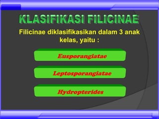 Filicinae diklasifikasikan dalam 3 anak
              kelas, yaitu :

            Eusporangiatae

          Leptosporangiatae

            Hydropterides
 