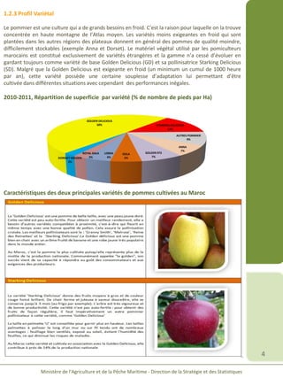4
Ministère de l’Agriculture et de la Pêche Maritime - Direction de la Stratégie et des Statistiques
1.2.3 Profil Variétal
Le pommier est une culture qui a de grands besoins en froid. C’est la raison pour laquelle on la trouve
concentrée en haute montagne de l’Atlas moyen. Les variétés moins exigeantes en froid qui sont
plantées dans les autres régions des plateaux donnent en général des pommes de qualité moindre,
difficilement stockables (exemple Anna et Dorset). Le matériel végétal utilisé par les pomiculteurs
marocains est constitué exclusivement de variétés étrangères et la gamme n’a cessé d’évoluer en
gardant toujours comme variété de base Golden Delicious (GD) et sa pollinisatrice Starking Delicious
(SD). Malgré que la Golden Delicious est exigeante en froid (un minimum un cumul de 1000 heure
par an), cette variété possède une certaine souplesse d’adaptation lui permettant d’être
cultivée dans différentes situations avec cependant des performances inégales.
2010-2011, Répartition de superficie par variété (% de nombre de pieds par Ha)
GOLDEN DELICIOUS
50% STARKING DELICIOUS
14%
AUTRES POMMIER
9%
ANNA
7%
GOLDEN 972
7%
GOLA
5%
LORKA
4%
ROYAL GALA
2%DORSSET GOLDEN
2%
Caractéristiques des deux principales variétés de pommes cultivées au Maroc
 