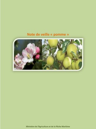 1
Note de veille « pomme »
Ministère de l’Agriculture et de la Pêche Maritime
 