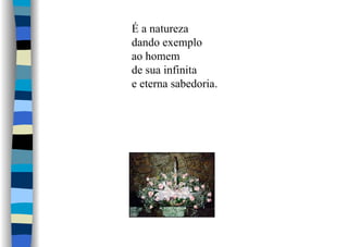 É a natureza
dando exemplo
ao homem
de sua infinita
e eterna sabedoria.
 