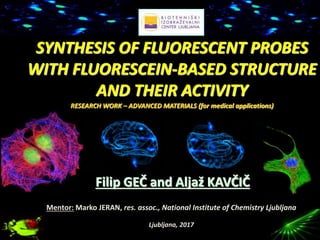 Mentor: Marko JERAN, res. assoc., National Institute of Chemistry Ljubljana
Slovenia; Ljubljana, 2017
SYNTHESIS OF FLUORESCENT PROBES
WITH FLUORESCEIN-BASED STRUCTURE
AND THEIR ACTIVITY
RESEARCH WORK – ADVANCED MATERIALS (for medical applications)
Filip GEČ and Aljaž KAVČIČ
BIOTECHNICAL EDUCATIONAL CENTRE
(GENERAL UPPER SECONDARY SCHOOL AND VETERINARY TECHNICIAN SCHOOL)
NATIONAL INSTITUTE OF CHEMISTRY,
LJUBLJANA, SLOVENIA
 