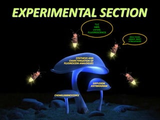 EXPERIMENTAL SECTION
SYNTHESIS AND
CHARCTERISATION OF
FLUORESCEIN ANALOGUES
TLC
NMR,
UV/VIS,
FLUORESCENCE
CHEMILUMINESCENCE
DIFFUSION
ANTIBIOGRAM
REACTIONS
UNDER INERT
ATMOSPHERE
 