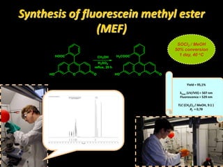 Synthesis of fluorescein methyl ester
(MEF)
HOOC
O OHO
H3COOC
O OHO
CH3OH
H2SO4
reflux, 20 h
SOCl2 / MeOH
50% conversion
1 day, 40 oC
Yield = 95,1%
λmax (UV/VIS) = 507 nm
Fluorescence = 529 nm
TLC (CH2Cl2 / MeOH, 9:1 )
Rf = 0,78
 