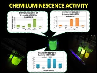 CHEMILUMINESCENCE ACTIVITY
CHEMILUMINESCENCE OF
0,1 mmol FLUORESCEIN
ANALOGUES
CHEMILUMINESCENCE OF
0,3 mmol FLUORESCEIN
ANALOGUES
CHEMILUMINESCENCE OF
0,1 mmol FLUORESCEIN
ANALOGUES
Fluorescein analogues
Fluorescein analogues
Fluorescein analogues
Maximumintensity[lux]
Maximumintensity[lux]
Maximumintensity[lux]
 