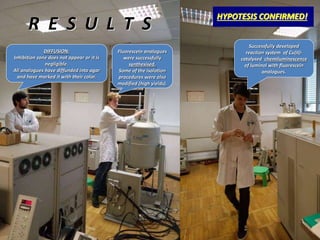 R E S U L T S
Fluorescein analogues
were successfully
synthesised.
Some of the isolation
procedures were also
modified (high yields).
Successfully developed
reaction system of Cu(II)-
catalysed chemiluminescence
of luminol with fluorescein
analogues.
HYPOTESIS CONFIRMED!
DIFFUSION:
Inhibition zone does not appear or it is
negligible.
All analogues have diffunded into agar
and have marked it with their color.
 