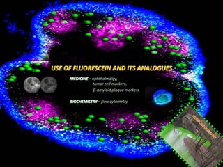 USE OF FLUORESCEIN AND ITS ANALOGUES
MEDICINE – ophthalmolgy,
tumor cell markers,
β-amyloid plaque markers
BIOCHEMISTRY – flow cytometry
 