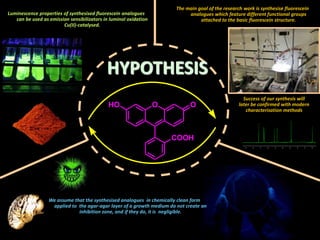 HYPOTHESIS
O
COOH
OHO
The main goal of the research work is synthesise fluorescein
analogues which feature different functional groups
attached to the basic fluorescein structure.
Success of our synthesis will
later be confirmed with modern
characterisation methods
Luminescence properties of synthesised fluorescein analogues
can be used as emission sensibilizators in luminol oxidation
Cu(II)-catalysed.
We assume that the synthesised analogues in chemically clean form
applied to the agar-agar layer of a growth medium do not create an
inhibition zone, and if they do, it is negligible.
 