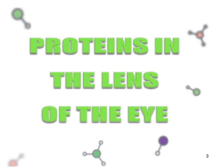 Filip bzik proteins in the lens of the eye