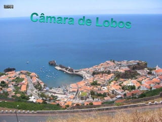 Câmara de Lobos