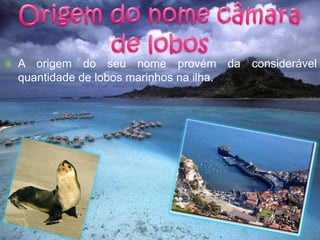 Origem do nome câmara de lobosA origem do seu nome provém da considerável quantidade de lobos marinhos na ilha.