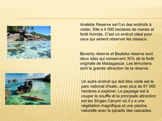 Analebe Reserve est l'un des endroits à
visiter. Elle a 4 000 hectares de marais et
forêt humide. C’est un endroit idéal pour
ceux qui aiment observer les oiseaux.


Beventy réserve et Bealoka réserve sont
deux sites qui conservent 30% de la forêt
originale de Madagascar. Les lémuriens
sont la grande attraction de la réserve.


Un autre endroit qui doit être visité est le
parc national d'Isalo, avec plus de 81 000
hectares à explorer. Le paysage est à
couper le souffle et la principale attraction
est les Singes Canyon où il y a une
végétation magnifique et une piscine
naturelle avec le paradis des cascades.
 