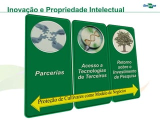 Inovação e Propriedade Intelectual
 
