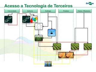 Acesso a Tecnologia de Terceiros
 Universidade   Indústria   Embrapa   Produtor   Outros Obtentores
 