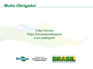 Muito Obrigado!




                 Filipe Teixeira
          Filipe.Teixeira@embrapa.br
                www.embrapa.br
 
