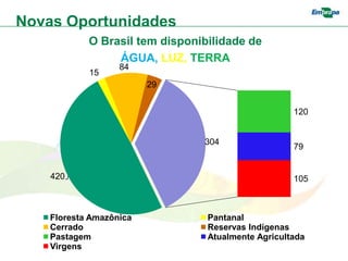 Novas Oportunidades
            O Brasil tem disponibilidade de
                 ÁGUA, LUZ, TERRA
                   84
            15
                         29


                                                    120


                                304
                                                    79


    420                                             105



    Floresta Amazônica           Pantanal
    Cerrado                      Reservas Indígenas
    Pastagem                     Atualmente Agricultada
    Virgens
 