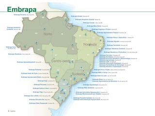 Embrapa
 