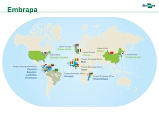 Embrapa
 