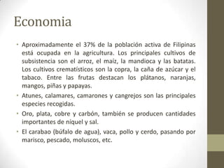 Economia
• Aproximadamente el 37% de la población activa de Filipinas
está ocupada en la agricultura. Los principales cultivos de
subsistencia son el arroz, el maíz, la mandioca y las batatas.
Los cultivos crematísticos son la copra, la caña de azúcar y el
tabaco. Entre las frutas destacan los plátanos, naranjas,
mangos, piñas y papayas.
• Atunes, calamares, camarones y cangrejos son las principales
especies recogidas.
• Oro, plata, cobre y carbón, también se producen cantidades
importantes de níquel y sal.
• El carabao (búfalo de agua), vaca, pollo y cerdo, pasando por
marisco, pescado, moluscos, etc.
 