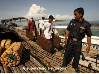 A supervisão é rigorosa
 