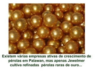 Existem várias empresas ativas de crescimento de
pérolas em Palawan, mas apenas Jewelmer
cultiva refinadas pérolas raras de ouro...
 