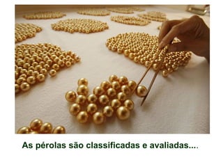 As pérolas são classificadas e avaliadas....
 