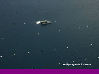Arhipelagul de Palawan
 