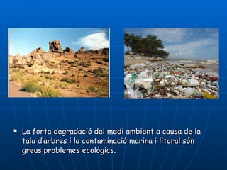 La forta degradació del medi ambient a causa de la tala d’arbres i la contaminació marina i litoral són greus problemes ecològics. 