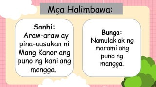 Mga Halimbawa:
Sanhi:
Araw-araw ay
pina-uusukan ni
Mang Kanor ang
puno ng kanilang
mangga.
Bunga:
Namulaklak ng
marami ang
puno ng
mangga.
 