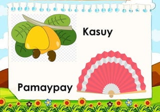 Kasuy
Pamaypay
 