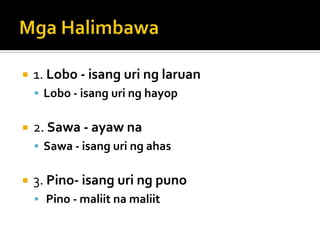    1. Lobo - isang uri ng laruan
     Lobo - isang uri ng hayop


   2. Sawa - ayaw na
     Sawa - isang uri ng ahas


   3. Pino- isang uri ng puno
     Pino - maliit na maliit
 