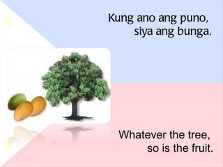 Kung ano ang puno,  siya ang bunga. Whatever the tree,  so is the fruit. 