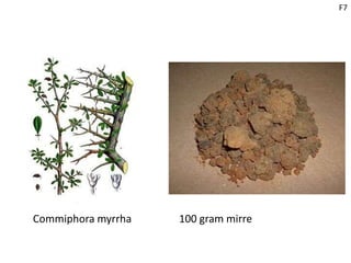F7
Commiphora myrrha 100 gram mirre
 