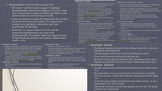 Filippo brunelleschi (1)