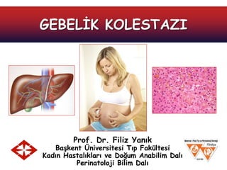 Prof. Dr. Filiz Yanık
Başkent Üniversitesi Tıp Fakültesi
Kadın Hastalıkları ve Doğum Anabilim Dalı
Perinatoloji Bilim Dalı
GEBELİK KOLESTAZI
 