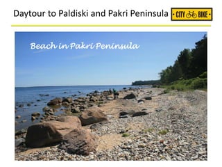 Daytour to Paldiski and Pakri Peninsula
Beach in Pakri Peninsula
 