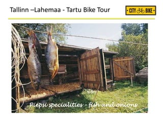 Tallinn –Lahemaa - Tartu Bike Tour
Piepsi specialities – fish and onions
 